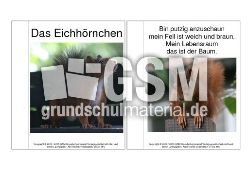 Mini-Buch-Eichhörnchen-Gedicht-Fotos.pdf